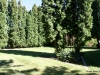30-img_4264