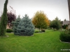 24-IMG_9031