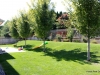 17-IMG_1785