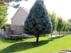 19-IMG_1783