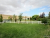 24-IMG_1848