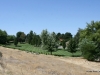 32-img_3319