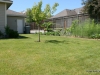 Immaculately maintained yard with fruit trees and garden area