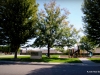 35-IMG_7636