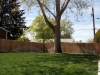 Backyard fully fenced and landscaped with storage shed and large patio/driveway/basketball court