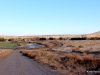 06-IMG_4637