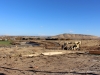 10-IMG_4619