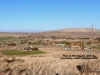 15-IMG_4648