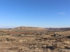4-IMG_4652
