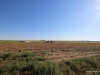 3-IMG_1369