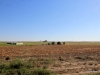 4-IMG_1375
