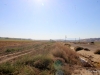 5-IMG_1376