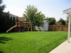 21-Backyard 1