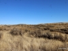 1-IMG_1379