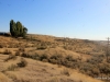 2-IMG_1381