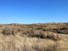 4-IMG_1380