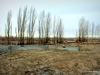 2-IMG_3959