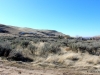 03-IMG_3707