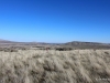 11-IMG_3719