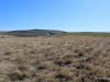 13-IMG_3723