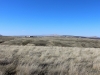 14-IMG_3726