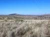 15-IMG_3727