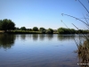 01-IMG_0751