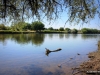 02-IMG_0748