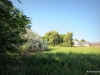 16-IMG_0767