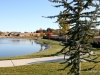 01-img_3803