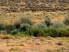 04-img_3264