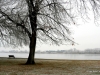 06-img_4746