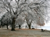 07-img_4752