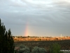 13-img_6890