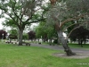 26-img_6911