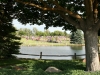29-img_6572
