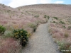 33-img_6499