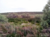 43-2012-05-20-18-40-38