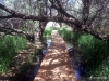 45-2012-06-11-14-33-18