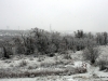 59-2012-12-25-14-00-53